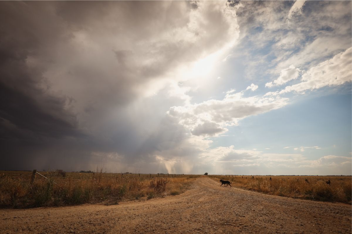 Storm brewing in the Southern Nevada Desert